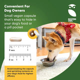 ROOTED OWL - Rooted Owl Urinary Support 60 Capsulas - The Red Vitamin MX - Salud De Tracto Urinario Para Perros - {{ shop.shopifyCountryName }}
