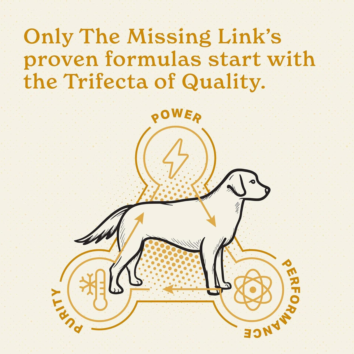 The Missing Link Skin & Coat 454Gr.