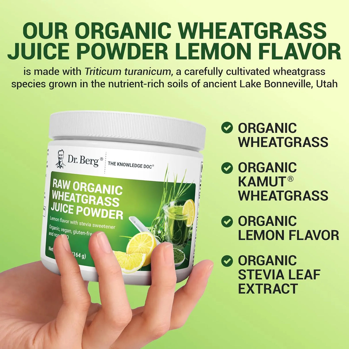 DR. BERG - Dr. Berg Raw Wheatgrass Powder 60 Servicios Lemon Flavor 164Gr. - The Red Vitamin MX - Suplementos Alimenticios - {{ shop.shopifyCountryName }}