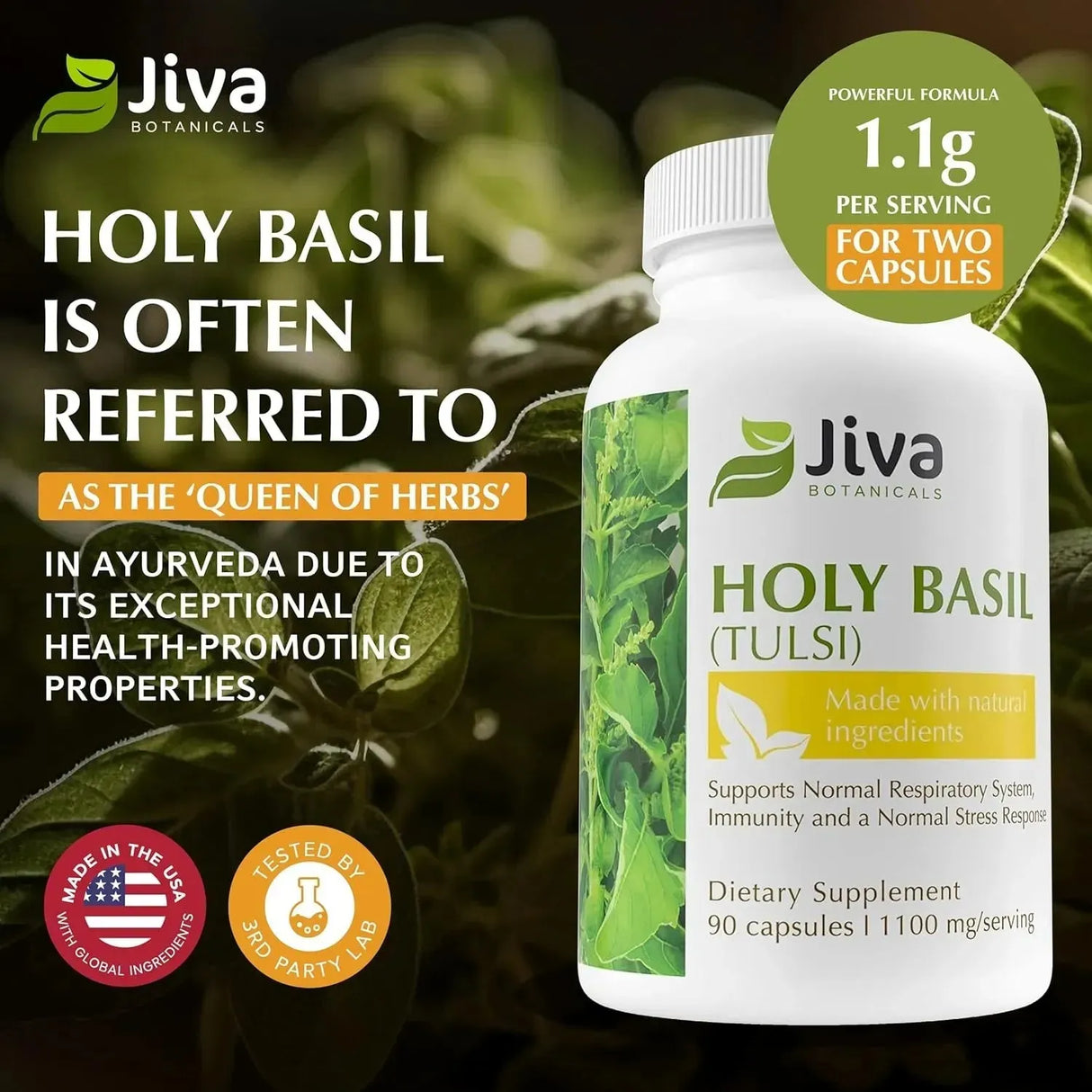 JIVA BOTANICALS - Jiva Botanicals Holy Basil 90 Capsulas - The Red Vitamin MX - Suplementos Alimenticios - {{ shop.shopifyCountryName }}