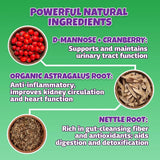 LIVELY TAILS - Lively Tails Natural Dog & Cat UTI Treatment with Cranberry & D-Mannose 2 Fl.Oz. - The Red Vitamin MX - Salud De Tracto Urinario Para Perros - {{ shop.shopifyCountryName }}