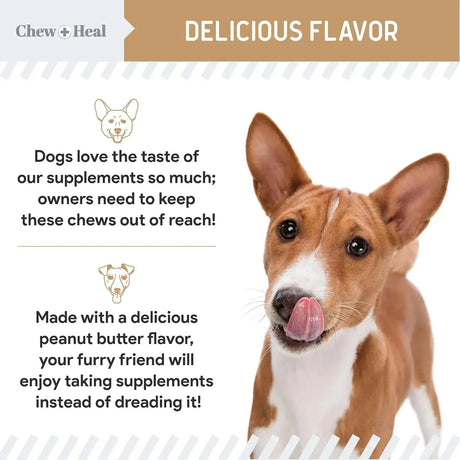 CHEW + HEAL - Chew + Heal Labs Glucosamine Hip and Joint Supplement for Dogs 90 Masticables - The Red Vitamin MX - Cuidado De Cadera Y Articulaciones Para Perros - {{ shop.shopifyCountryName }}