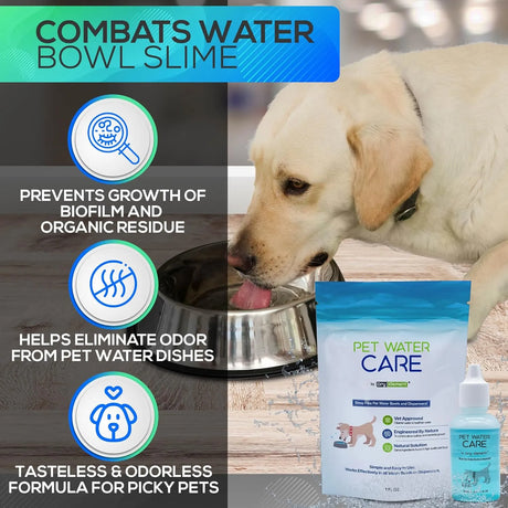 DRY ELEMENT - Dry Element Pet Water Care Dog and Cat Water Additive for Dental and Oral Care 1 Fl.Oz. - The Red Vitamin MX - Cuidado Dental Para Perros - {{ shop.shopifyCountryName }}