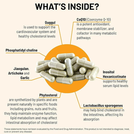 MOUNTAIN PEAK - Mountain Peak Nutritionals Cholesterol Support 90 Capsulas - The Red Vitamin MX - Suplementos Alimenticios - {{ shop.shopifyCountryName }}