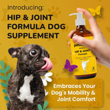 PETMADE - PETMADE Dog Hip and Joint Supplement 16 Fl.Oz. - The Red Vitamin MX - Cuidado De Cadera Y Articulaciones Para Perros - {{ shop.shopifyCountryName }}