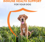 NUTRAMAX - Nutramax Laboratories Imuquin Immune Health Supplement Powder for Dogs 30 Paquetes - The Red Vitamin MX - Suplementos Herbales Para Perros - {{ shop.shopifyCountryName }}