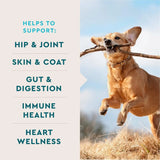 VETIQ - VETIQ 8-in-1 Supplement for Dogs 60 Masticables 2 Pack - The Red Vitamin MX - Multivitamínicos Para Perros - {{ shop.shopifyCountryName }}