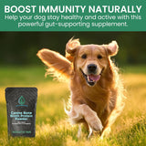 HOLISTIC BIN - HOLISTIC BIN Canine Powderized Beef Bone Broth Powder 50Gr. - The Red Vitamin MX - Suplementos Herbales Para Perros - {{ shop.shopifyCountryName }}
