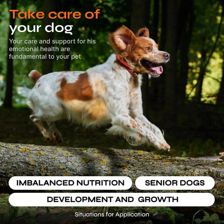 VETRICA - Vetrica Dog Vitamins 15 in 1 Dog Multivitamin Chews 130 Masticables - The Red Vitamin MX - Multivitamínicos Para Perros - {{ shop.shopifyCountryName }}