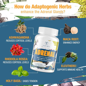TERVAIES - Tervaies Adrenal Support 60 Tabletas 2 Pack - The Red Vitamin MX - Suplementos Alimenticios - {{ shop.shopifyCountryName }}
