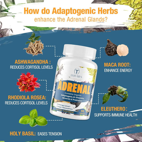 TERVAIES - Tervaies Adrenal Support 60 Tabletas 2 Pack - The Red Vitamin MX - Suplementos Alimenticios - {{ shop.shopifyCountryName }}