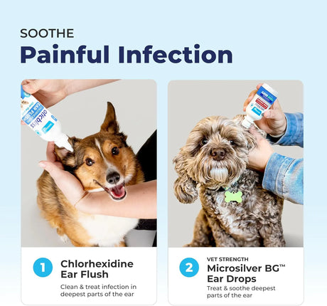 VETNIQUE - Vetnique Oticbliss Ear Flush Medicated Dog Ear Infection Treatment 12 Fl.Oz. - The Red Vitamin MX - Cuidado Del Oído De Perros - {{ shop.shopifyCountryName }}