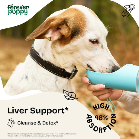 FOREVER PUPPY - Forever Puppy Liver Support Drops for Dogs 4 Fl.Oz. - The Red Vitamin MX - Suplementos Herbales Para Perros - {{ shop.shopifyCountryName }}