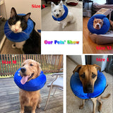 Katoggy Inflatable Dog Collar BLUE LARGE