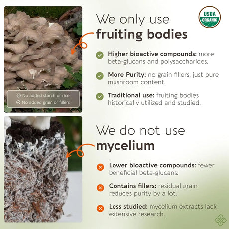 LONGEVITY BOTANICALS - Longevity Botanicals Organic Maitake Mushroom Extract Powder 100Gr. - The Red Vitamin MX - Suplementos Alimenticios - {{ shop.shopifyCountryName }}