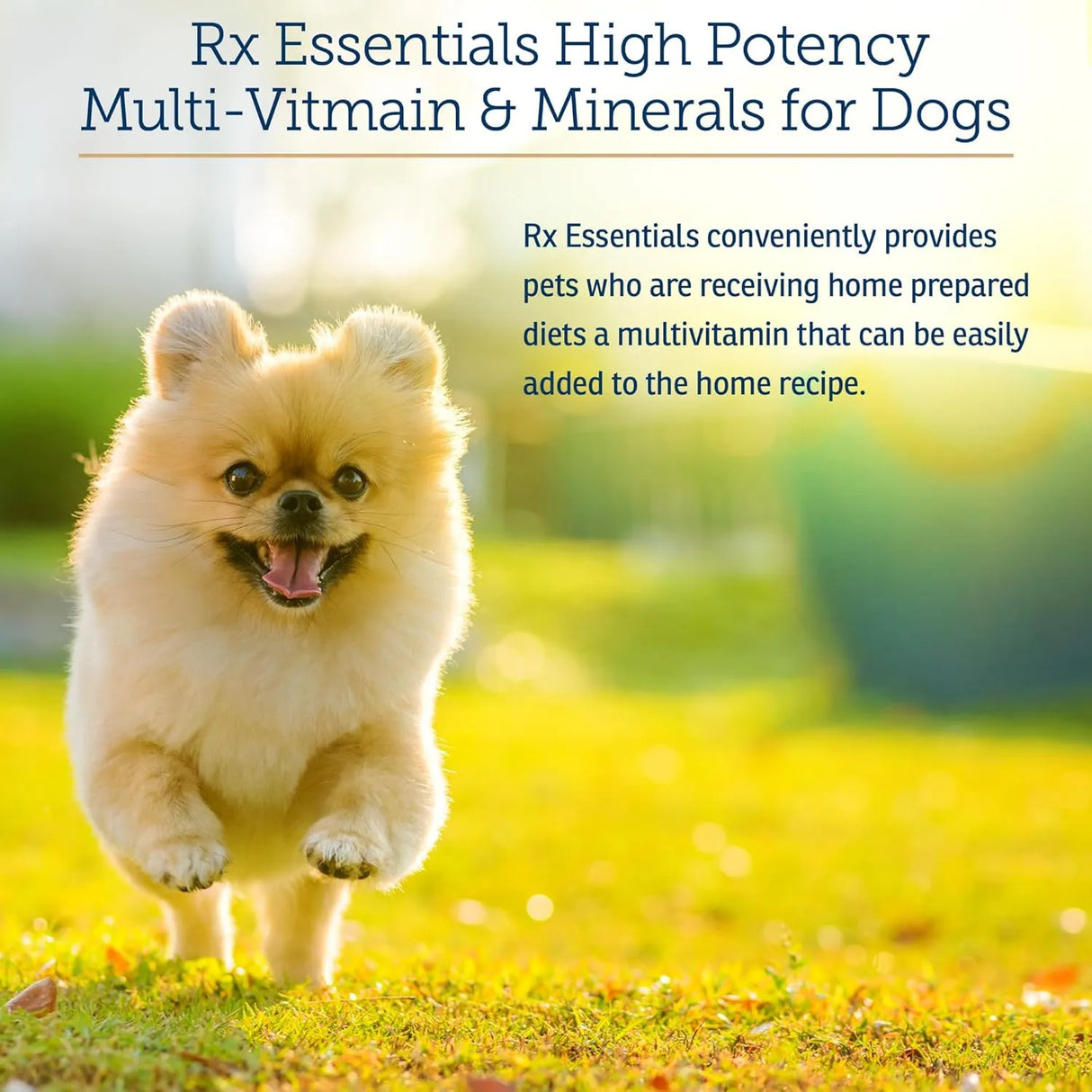 RX VITAMINS - Rx Vitamins Essentials for Dogs Daily Dog Multivitamin Powder 227Gr. - The Red Vitamin MX - Multivitamínicos Para Perros - {{ shop.shopifyCountryName }}