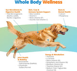 5STRANDS - 5Strands Dog Multivitamin Chews 10-in-1 Vitamins & Postbiotics Peanut Butter 90 Masticables - The Red Vitamin MX - Multivitamínicos Para Perros - {{ shop.shopifyCountryName }}