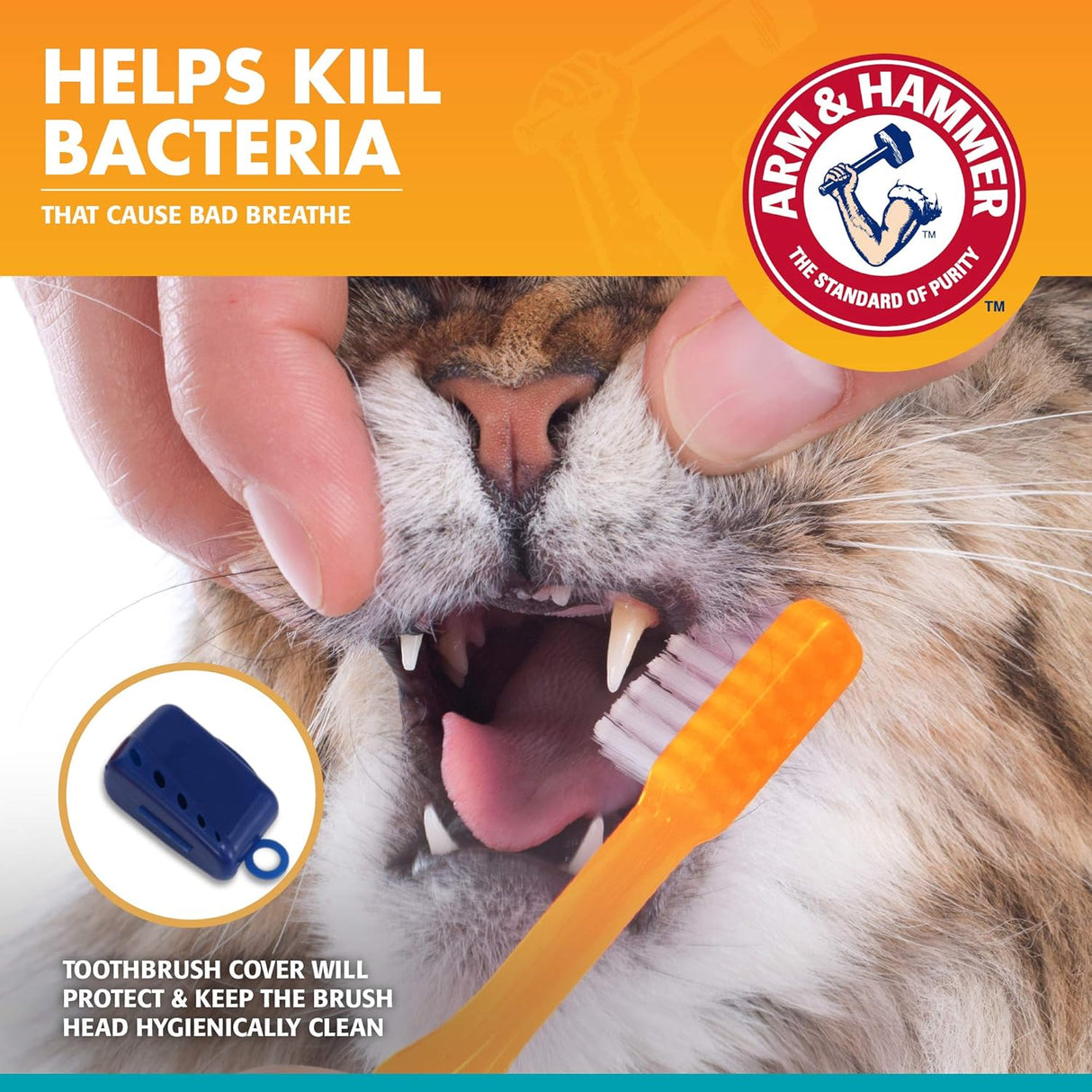 Arm & Hammer Cat Dental Kit Tuna and Fresh Mint Flavors