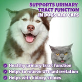 LIVELY TAILS - Lively Tails Natural Dog & Cat UTI Treatment with Cranberry & D-Mannose 2 Fl.Oz. - The Red Vitamin MX - Salud De Tracto Urinario Para Perros - {{ shop.shopifyCountryName }}