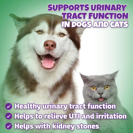 LIVELY TAILS - Lively Tails Natural Dog & Cat UTI Treatment with Cranberry & D-Mannose 2 Fl.Oz. - The Red Vitamin MX - Salud De Tracto Urinario Para Perros - {{ shop.shopifyCountryName }}