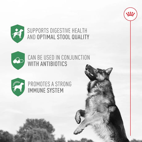 ROYAL CANIN - Royal Canin Probiotics for Dogs 30 Paquetes - The Red Vitamin MX - Probióticos Para Perros - {{ shop.shopifyCountryName }}