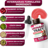 VET PROMISE - Vet Promise Urinary Tract Infection Treatments with Cranberry 2 Fl.Oz. - The Red Vitamin MX - Salud De Tracto Urinario Para Perros - {{ shop.shopifyCountryName }}