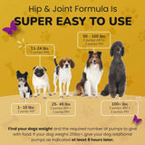 PETMADE - PETMADE Dog Hip and Joint Supplement 16 Fl.Oz. - The Red Vitamin MX - Cuidado De Cadera Y Articulaciones Para Perros - {{ shop.shopifyCountryName }}