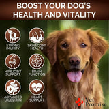 VET PROMISE - Vet Promise Mushroom for Dogs 170 Masticables 2 Pack - The Red Vitamin MX - Suplementos Herbales Para Perros - {{ shop.shopifyCountryName }}