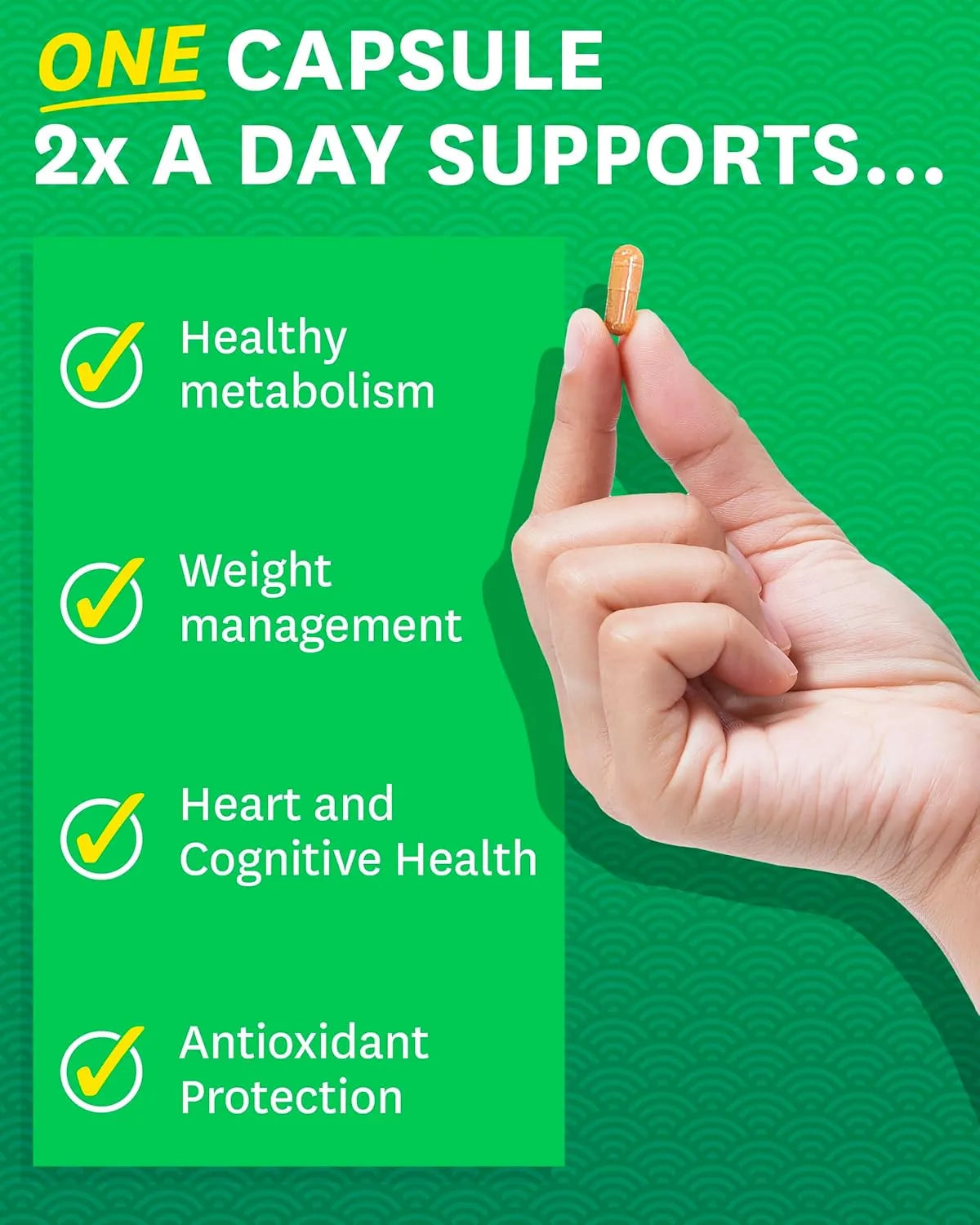 ZENWISE HEALTH - Zenwise Health Green Tea Extract with Green Coffee Bean Extract 60 Capsulas - The Red Vitamin MX - Suplementos Alimenticios - {{ shop.shopifyCountryName }}