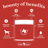 WILD ACRE - Wild Acre Premium Beef Bone Broth for Dogs 198Gr. - The Red Vitamin MX - Suplementos Herbales Para Perros - {{ shop.shopifyCountryName }}
