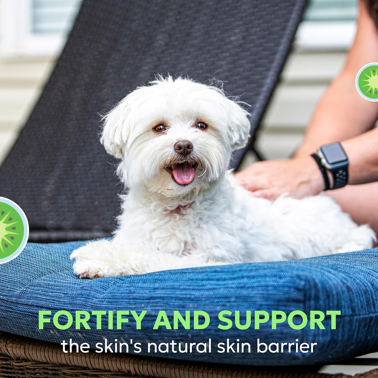 Nutramax Dermaquin Skin Support Supplement for Small to Medium Dogs and Cats 60 Masticables