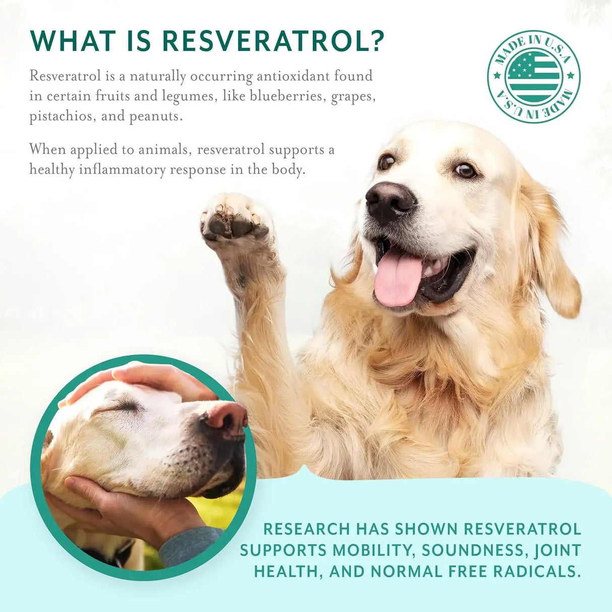 PETHRIVE - PetThrive Dog Hip and Joint Support Soft Chews Large Breed 90 Masticables - The Red Vitamin MX - Cuidado De Cadera Y Articulaciones Para Perros - {{ shop.shopifyCountryName }}