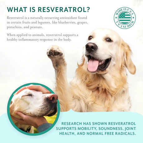 PETHRIVE - PetThrive Dog Hip and Joint Support Soft Chews Large Breed 90 Masticables - The Red Vitamin MX - Cuidado De Cadera Y Articulaciones Para Perros - {{ shop.shopifyCountryName }}