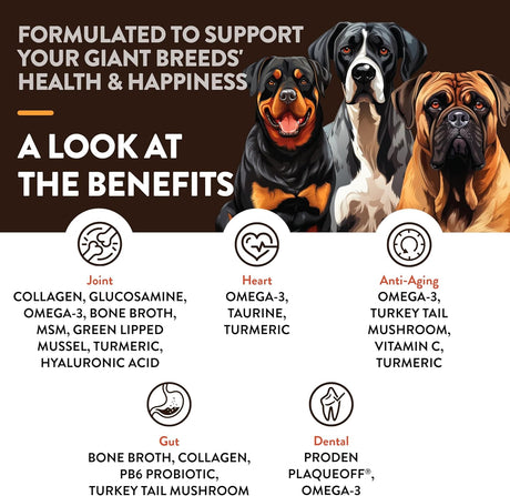 NATURVET - NaturVet Giant Breeds Supplement 50 Masticables - The Red Vitamin MX - Multivitamínicos Para Perros - {{ shop.shopifyCountryName }}