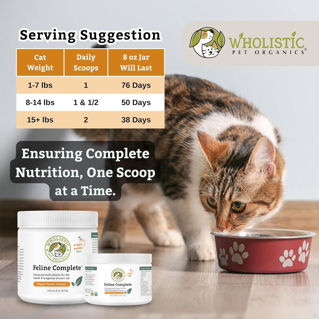 Wholistic Pet Organics Feline Complete Organic Pumpkin 227Gr.