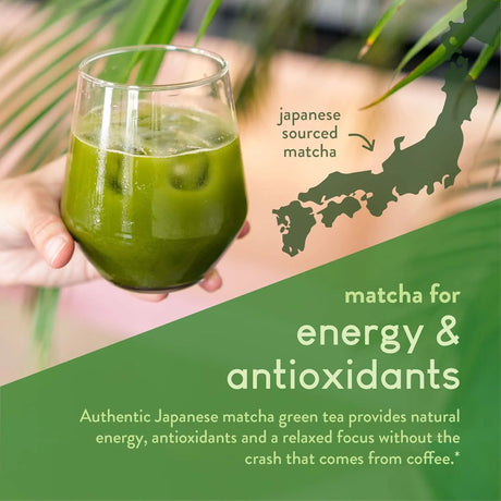 360 NUTRITION - 360 Nutrition Matcha Hydrolyzed Collagen Peptides Powder 16 Servicios 227Gr. - The Red Vitamin MX - Suplementos Alimenticios - {{ shop.shopifyCountryName }}