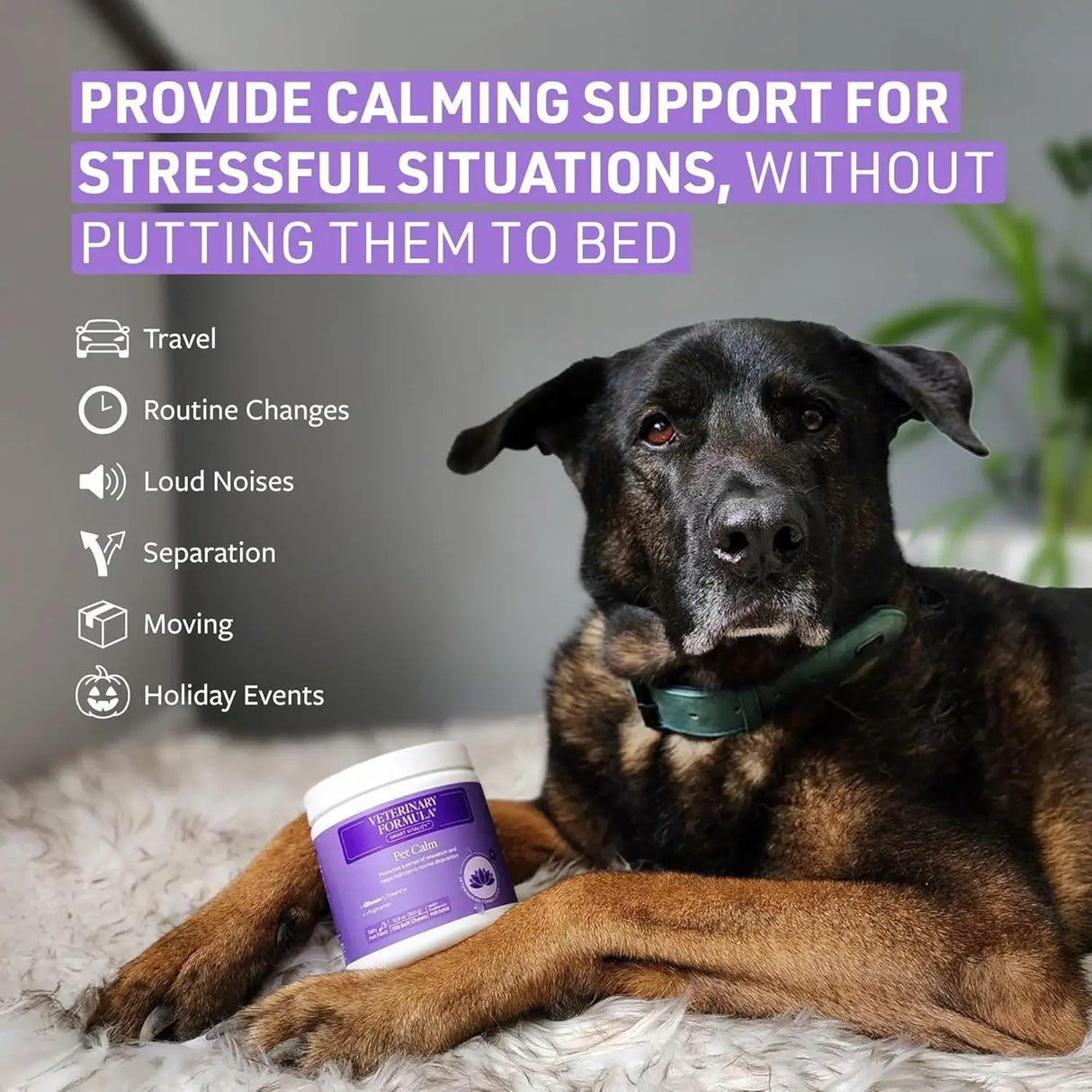 VETERINARY FORMULA - Veterinary Formula Smart Vitality Pet Calm Supplement for Dogs 100 Masticables - The Red Vitamin MX - Relajantes Para Perros - {{ shop.shopifyCountryName }}