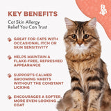 BestLife4Pets Cat Itchy Skin Relief & Hair Loss Treatment 400 Tabletas