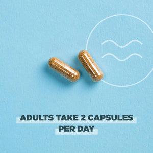ANCIENT NUTRITION - Ancient Nutrition Regenerative Organic Certified Probiotics for Menopause Support 60 Capsulas - The Red Vitamin MX - Suplementos Alimenticios - {{ shop.shopifyCountryName }}