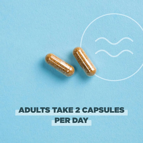 ANCIENT NUTRITION - Ancient Nutrition Regenerative Organic Certified Probiotics for Menopause Support 60 Capsulas - The Red Vitamin MX - Suplementos Alimenticios - {{ shop.shopifyCountryName }}