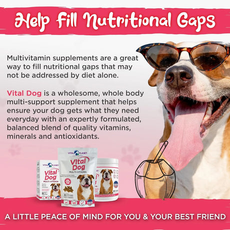 VITAL PLANET - Vital Planet Vital Dog Multi Vitamin Powder 30 Servicios 75Gr. - The Red Vitamin MX - Multivitamínicos Para Perros - {{ shop.shopifyCountryName }}