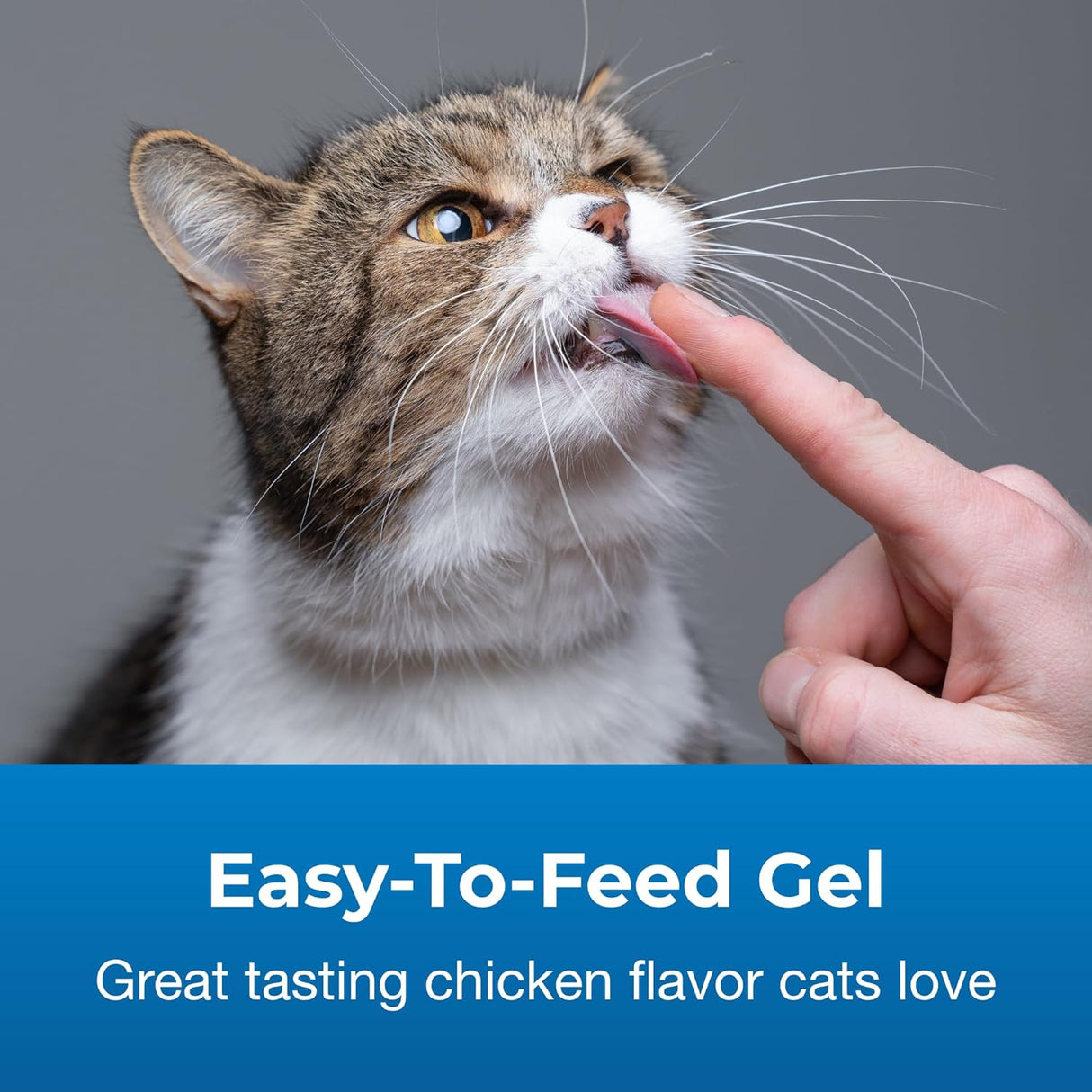 PetAg Vitamin & Mineral Gel Supplement for Cats 100Gr.