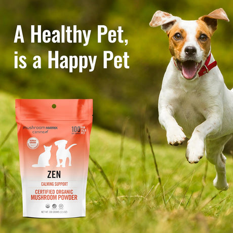 OM - Om Mushroom Matrix Zen Matrix Mushroom Blend Pet 100Gr. - The Red Vitamin MX - Suplementos Herbales Para Perros - {{ shop.shopifyCountryName }}