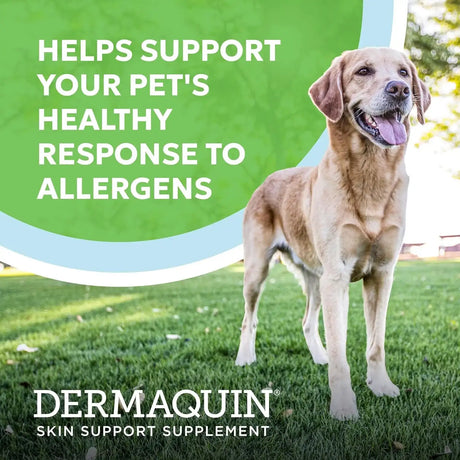 NUTRAMAX - Nutramax Dermaquin Skin Support for Large Dogs 31+ lbs 60 Masticables - The Red Vitamin MX - Remedios Para La Picazón De Perros - {{ shop.shopifyCountryName }}