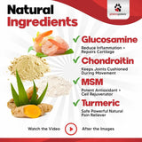PLANOPAWS - Planopaws ActivTreats Hip and Joint Supplement Chicken 120 Masticables - The Red Vitamin MX - Cuidado De Cadera Y Articulaciones Para Perros - {{ shop.shopifyCountryName }}