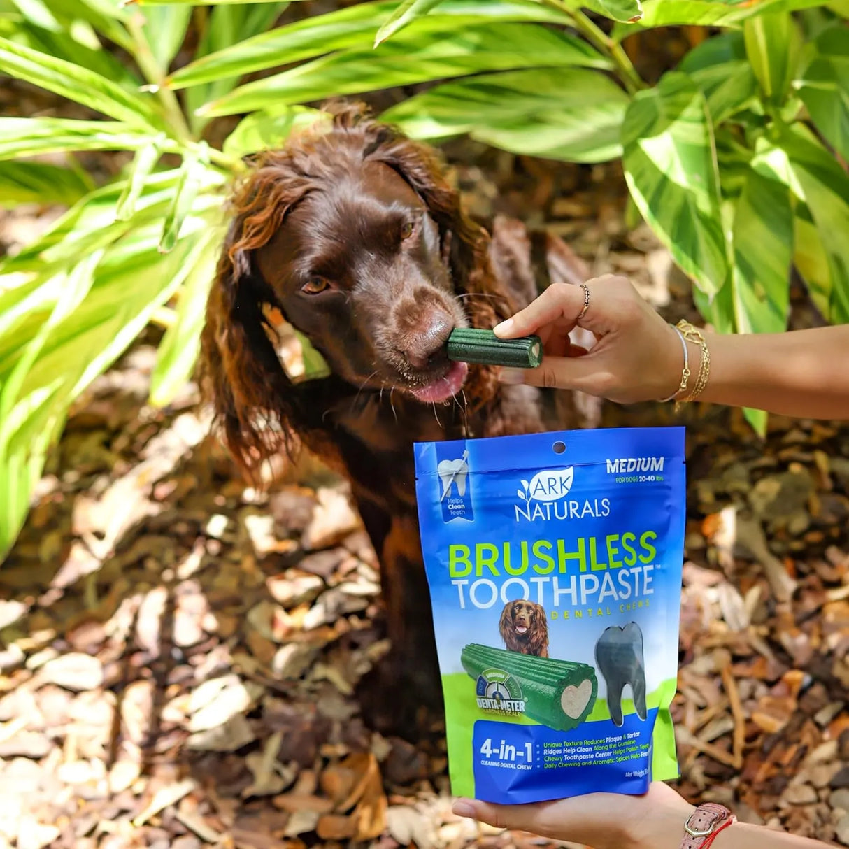 ARK NATURALS - Ark Naturals Brushless Toothpaste Dog Dental Chews for Medium Breeds 508Gr. - The Red Vitamin MX - Cuidado Dental Para Perros - {{ shop.shopifyCountryName }}