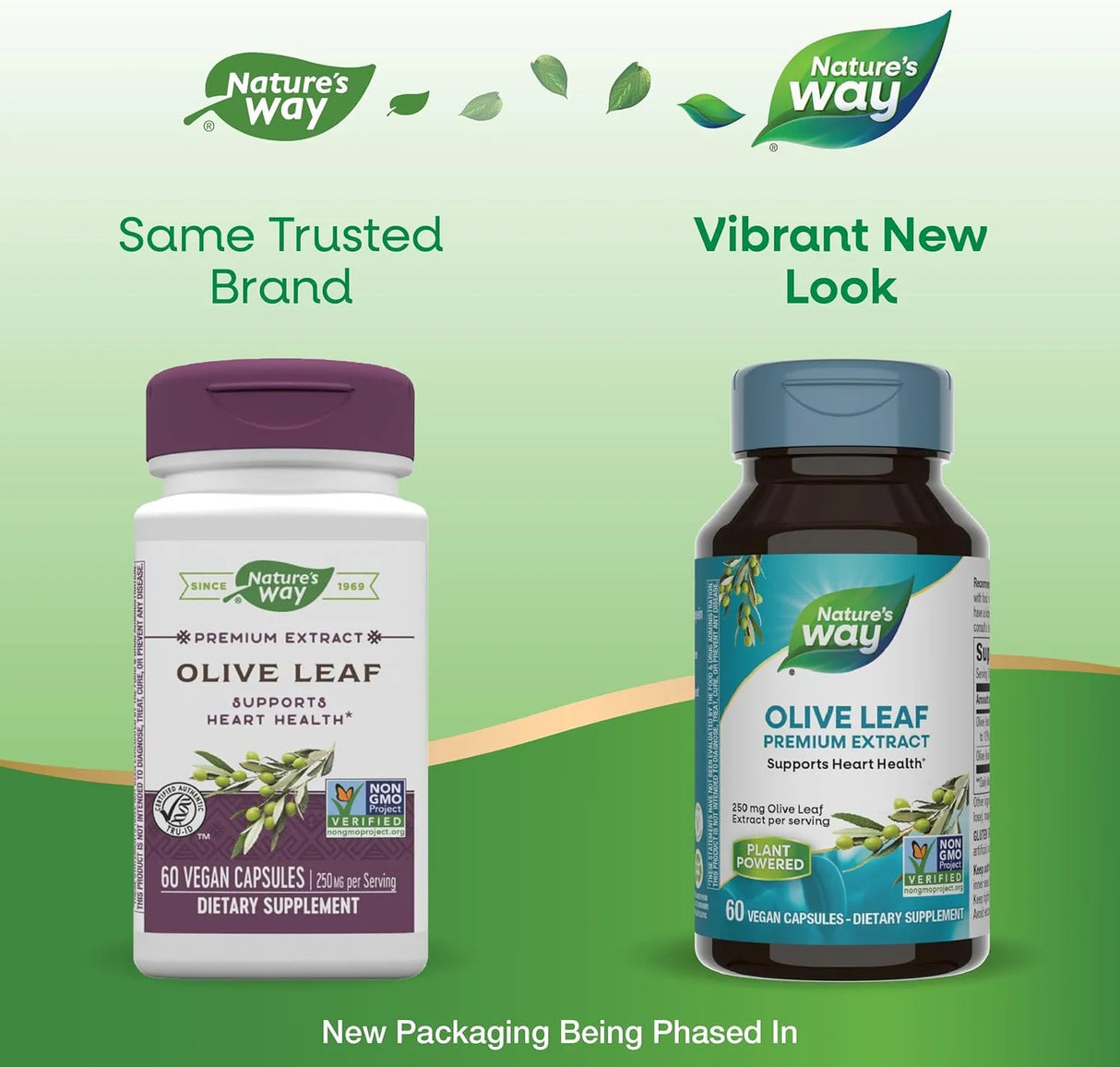 NATURE'S WAY - Nature's Way Olive Leaf Premium Extract 250Mg. 60 Capsulas - The Red Vitamin MX - Suplementos Alimenticios - {{ shop.shopifyCountryName }}