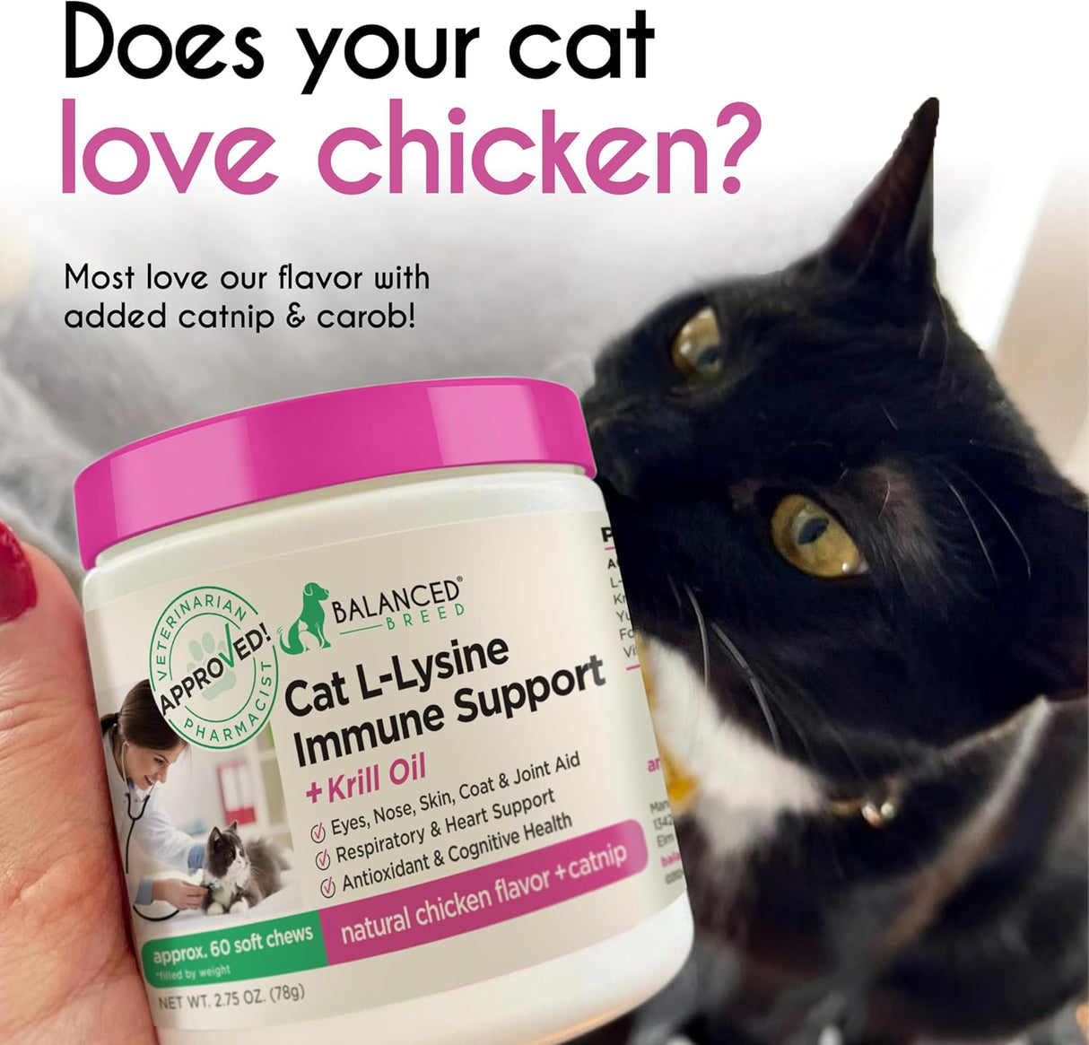 Balanced Breed L-Lysine Cats Immune Support Soft Chews 60 Masticables