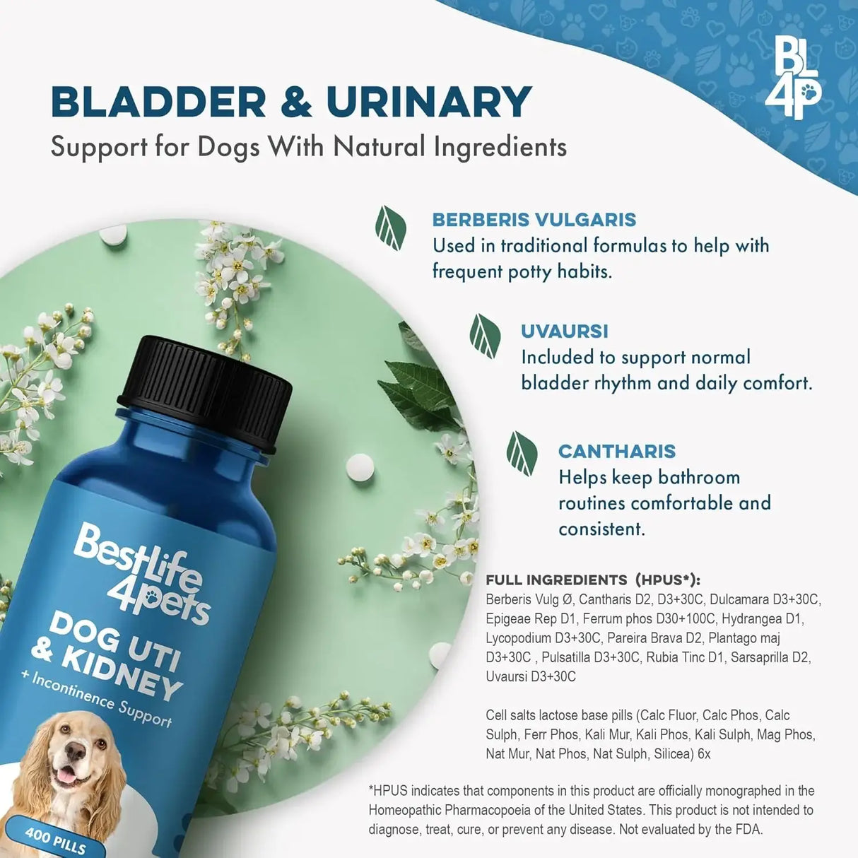 BESTLIFE4PETS - BestLife4Pets Dog UTI Treatment 400 Tabletas 2 Pack - The Red Vitamin MX - Salud De Tracto Urinario Para Perros - {{ shop.shopifyCountryName }}