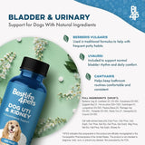 BESTLIFE4PETS - BestLife4Pets Dog UTI Treatment 400 Tabletas 2 Pack - The Red Vitamin MX - Salud De Tracto Urinario Para Perros - {{ shop.shopifyCountryName }}